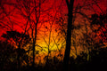 Red Kingdom Metal Print