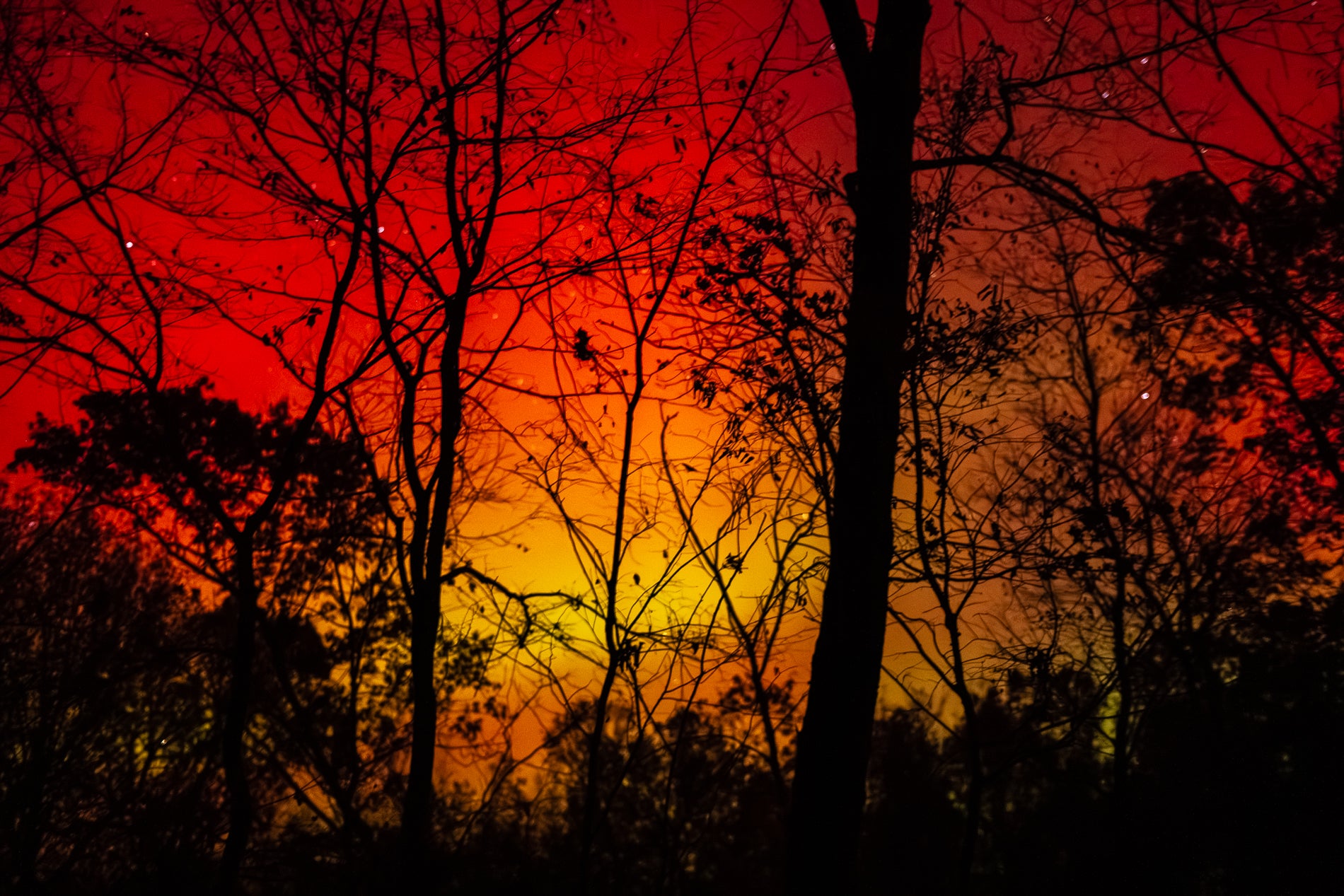 Red Kingdom Metal Print