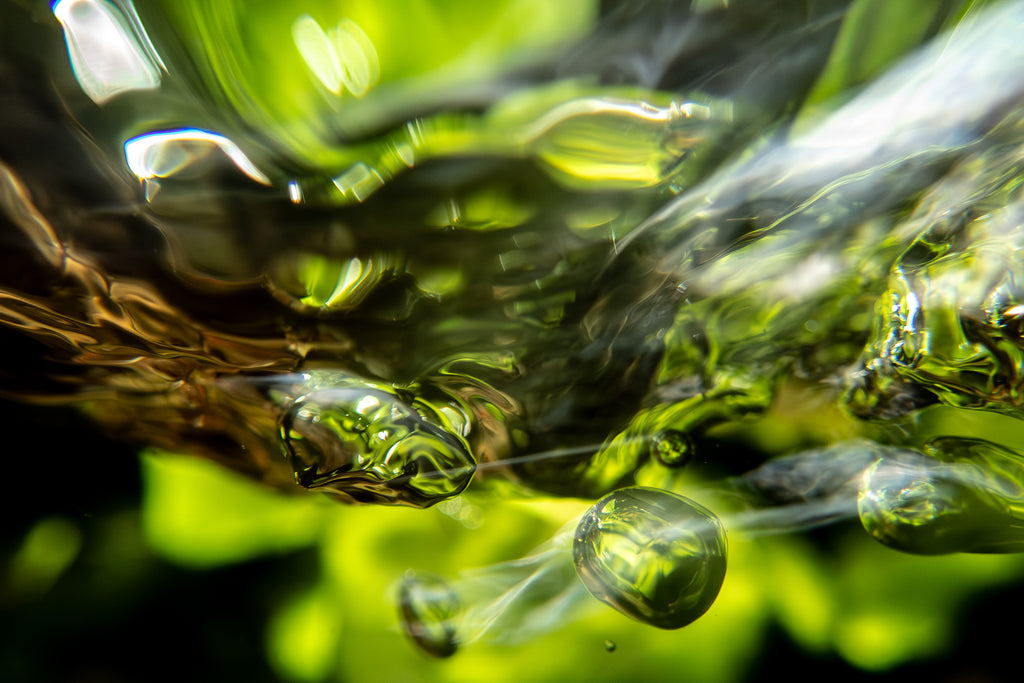 Watercress Metal Print