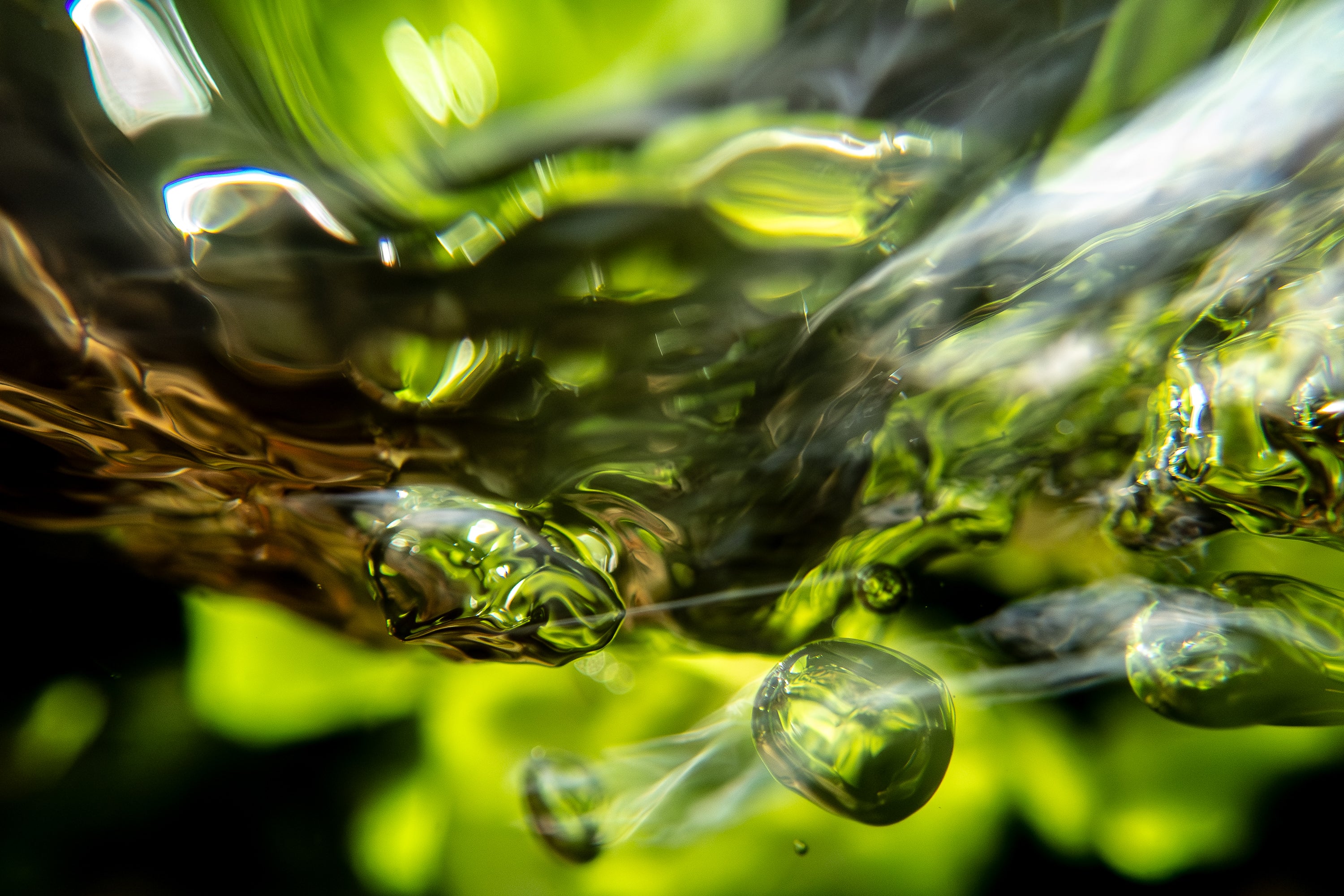 Watercress Metal Print