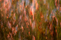 Goose Creek Metal Print