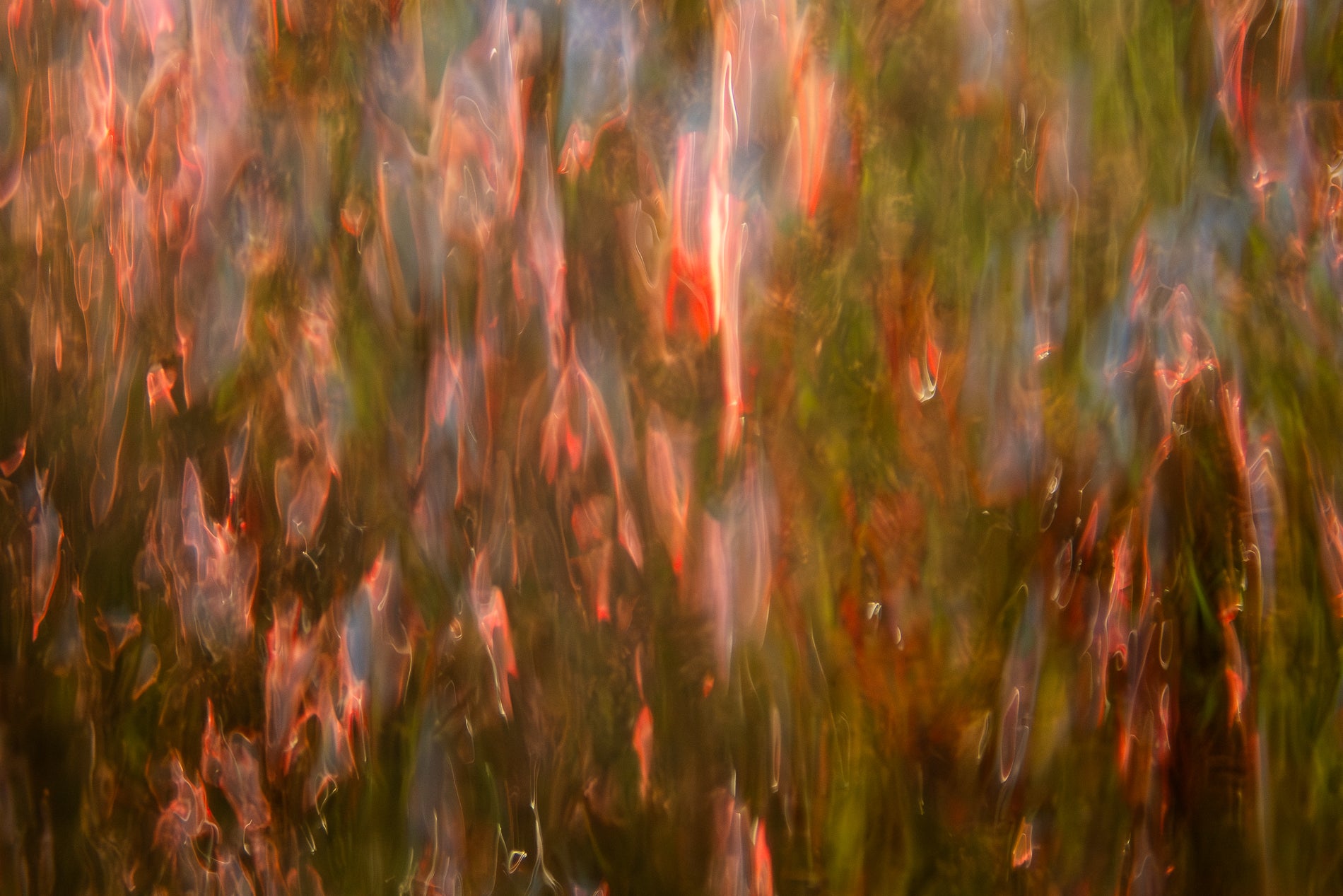 Goose Creek Metal Print