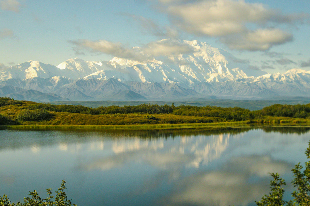 "Denali at Wonder Lake" Metal Print