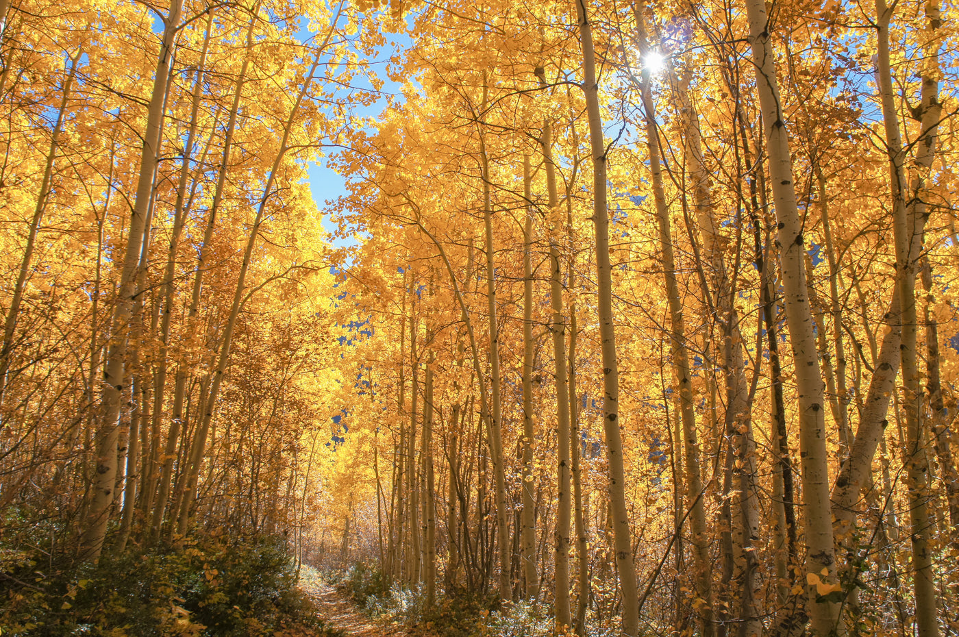 "Holden Village" Metal Print