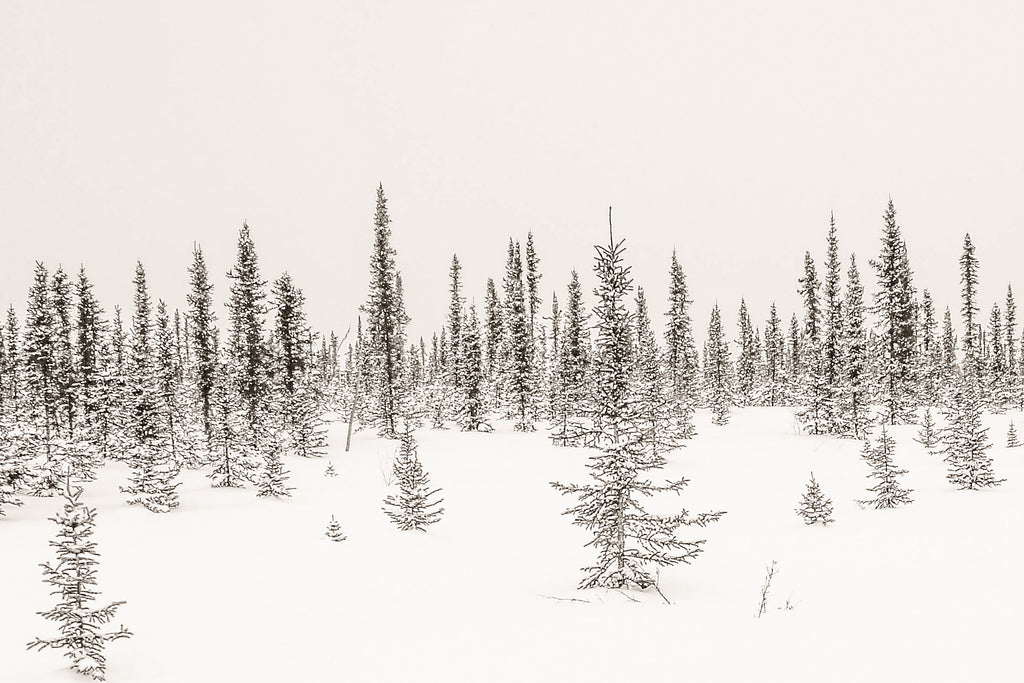 Ice Road Metal Print