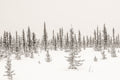 Ice Road Metal Print