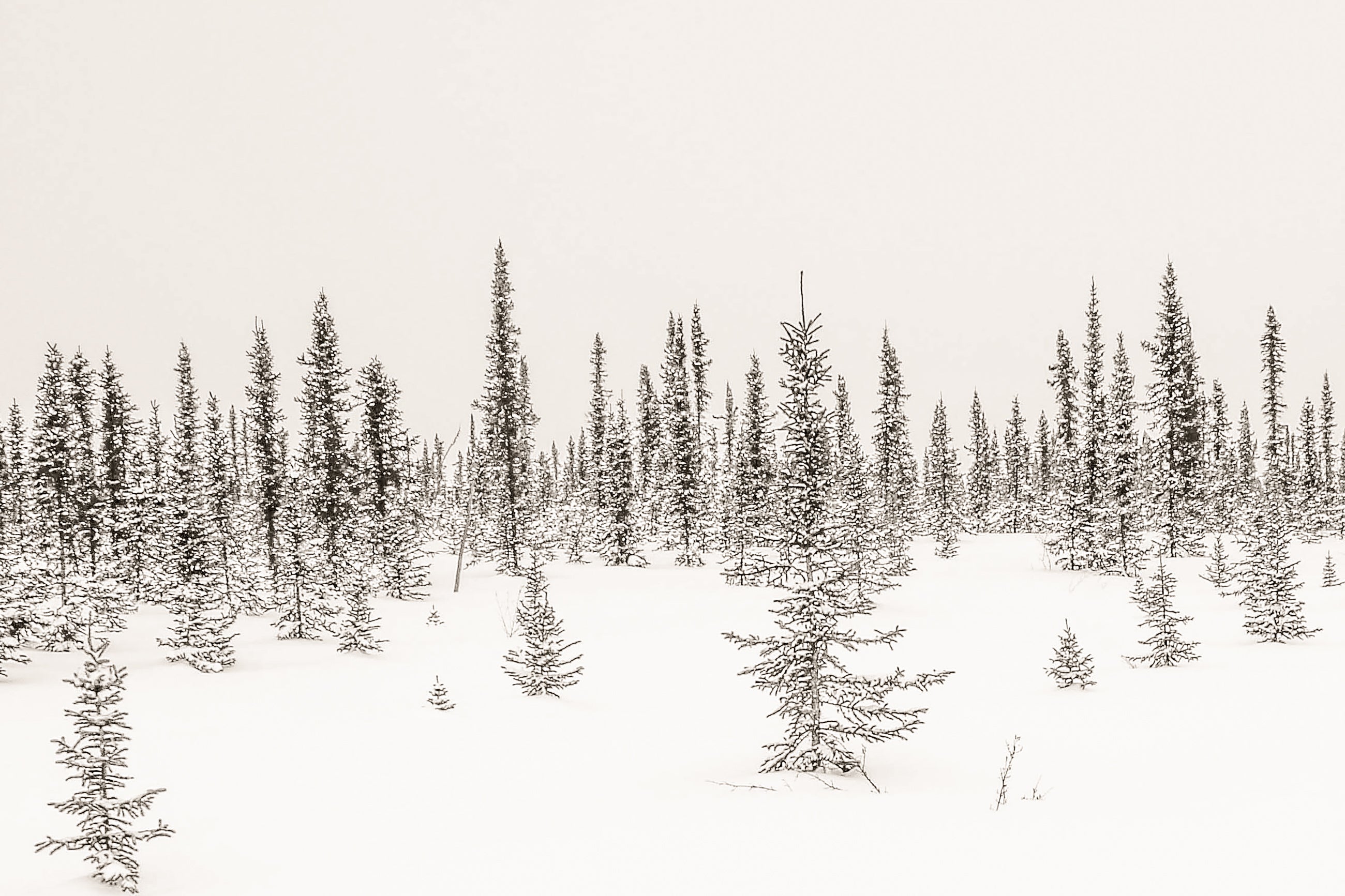 Ice Road Metal Print